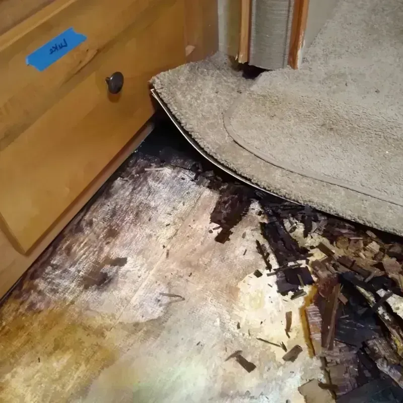 Wood Floor Water Damage in Tallahassee, FL